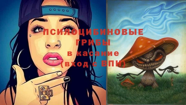 a pvp Вяземский