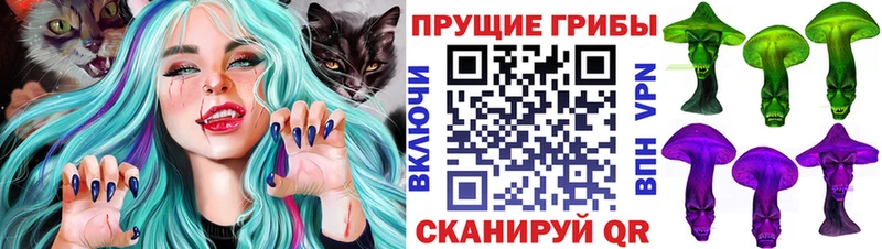 Купить закладки  Волгореченск  Галлюциногенные грибы прущие грибы 